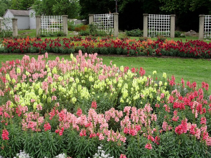 Ella Sharp Rose Garden